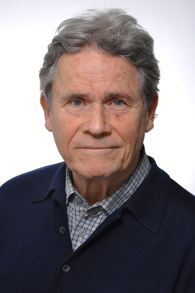 Bild von Dr. Falk Brachmann